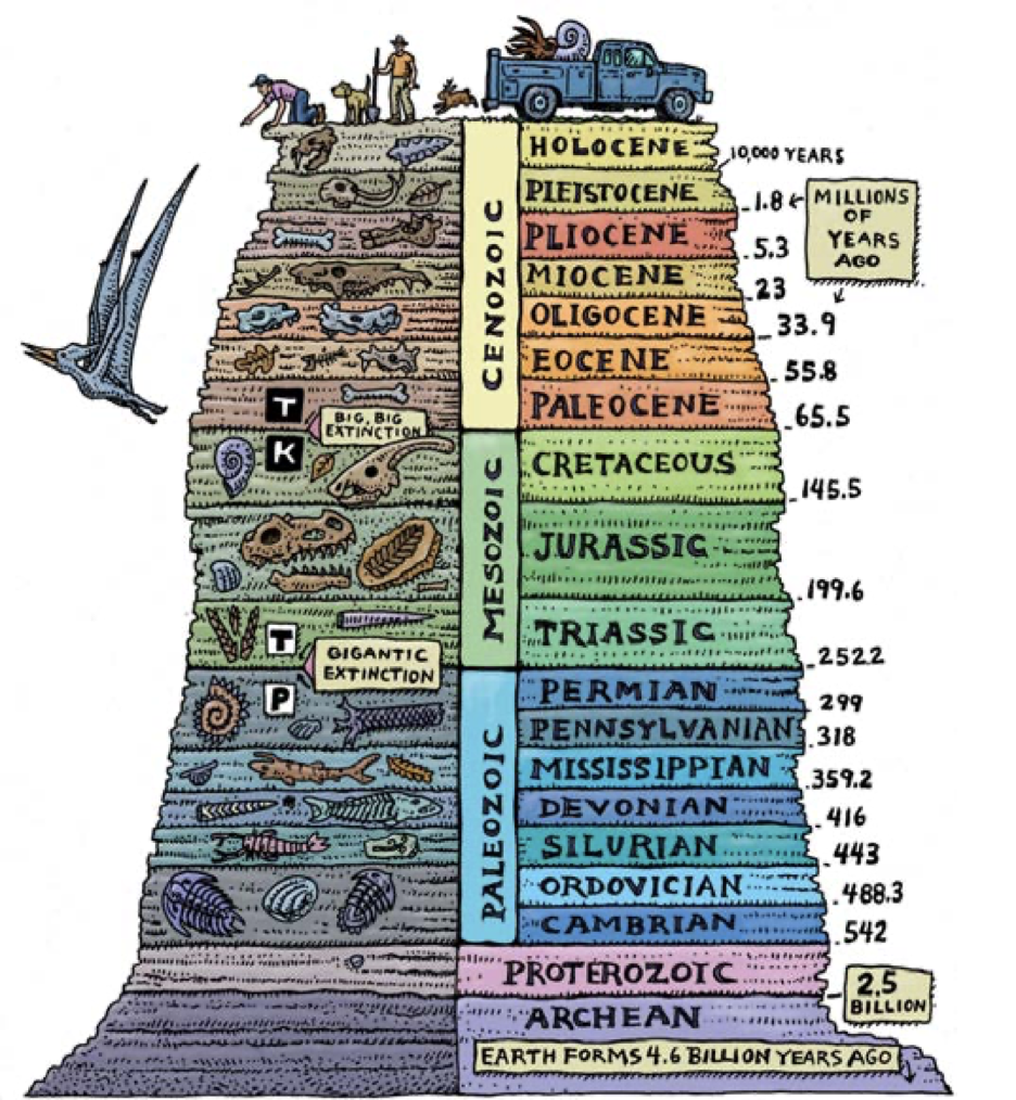 The DIG Field School – Exploring Paleontology!